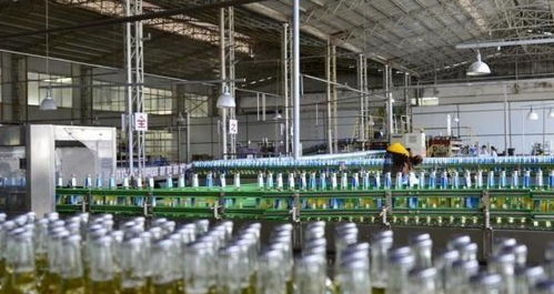 两年关掉18间工厂，它仍是中国啤酒领头羊，单品牌销量全球第一